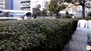 欧美亚洲视频一区|亚洲精品99久久久久中文字幕